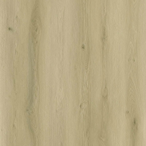 Sense - Serie EXLargo - EXL 510 - Click