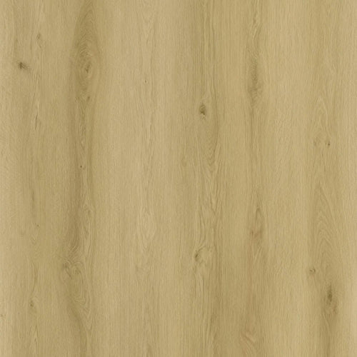 Sense - Serie EXLargo - EXL 530 - Click