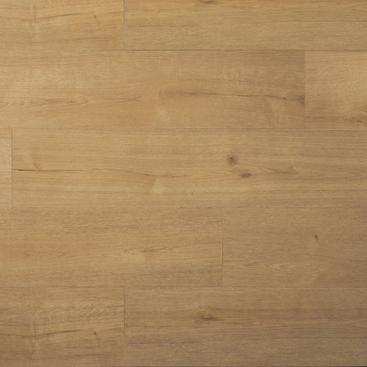 Douwes Dekker - Praktisch Plank - Click