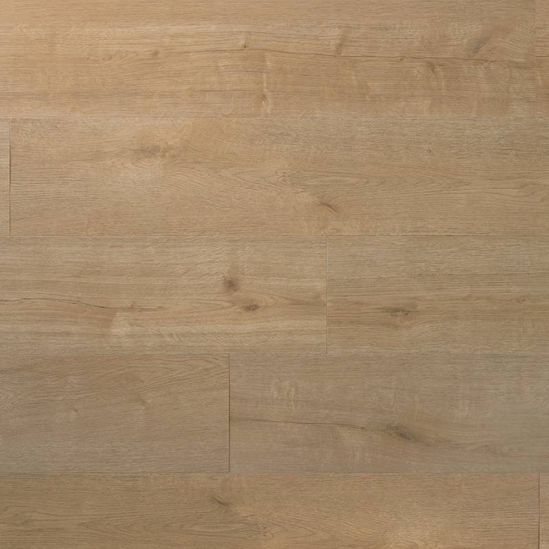 Douwes Dekker - Praktisch - 04877 - Wafel - Rigid Click