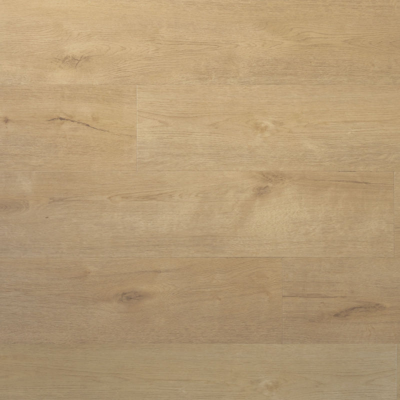 Douwes Dekker - Praktisch Plank - Click