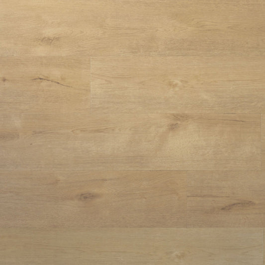 Douwes Dekker - Praktisch Plank - Click