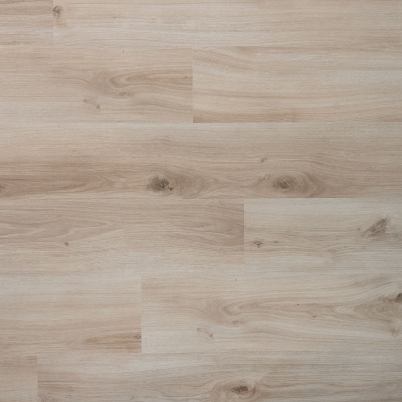 Douwes Dekker - Laminaat - Spontaan - 04949 - Plank Gember