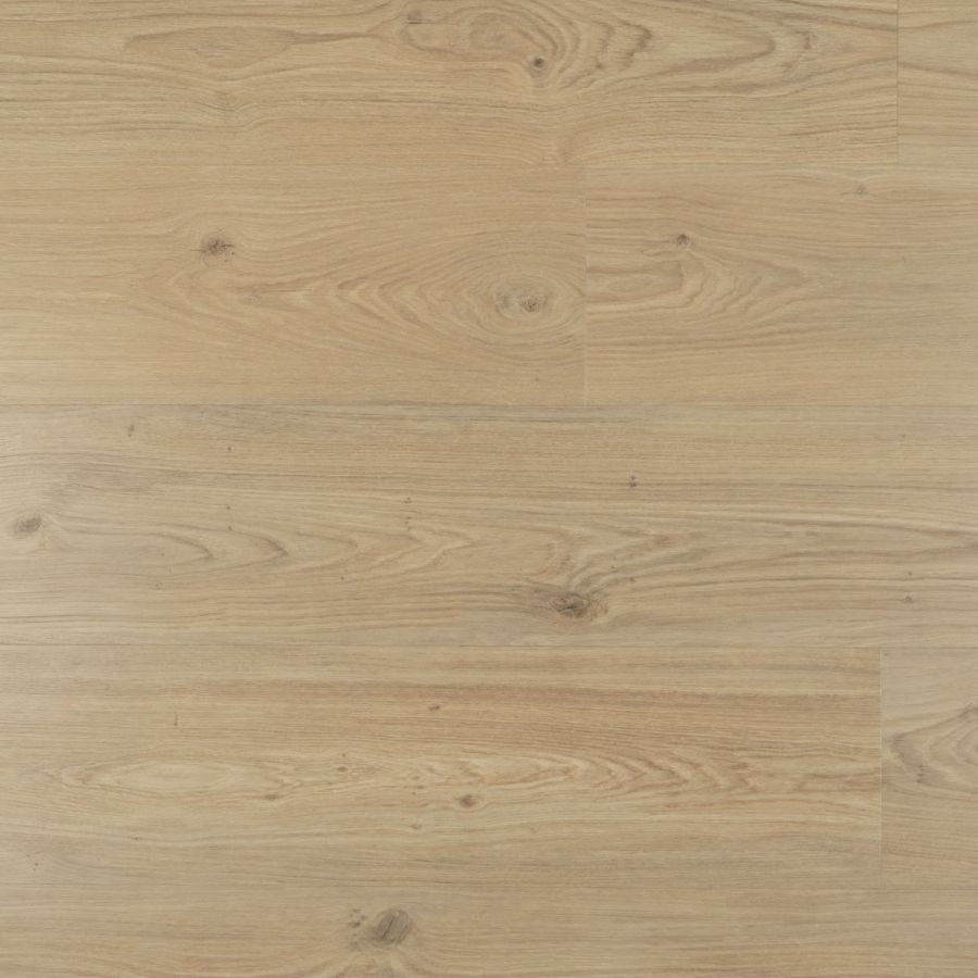 Douwes Dekker - Ambitieus - 07803 - Riante Plank Panna Cotta - Dryback