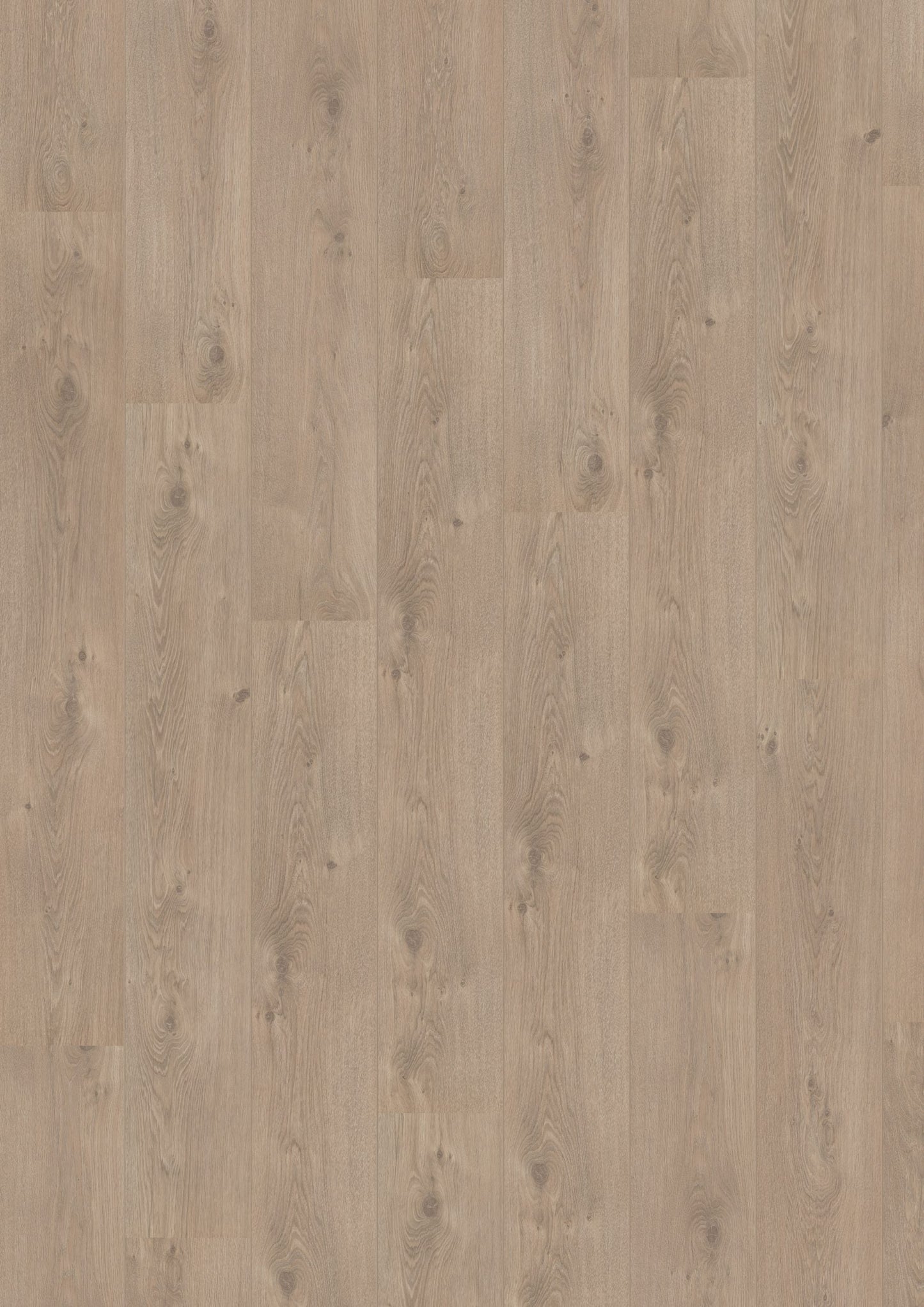 Hoomline - Laminaat - Royal V2 Aquaprotect - Puglia 4941