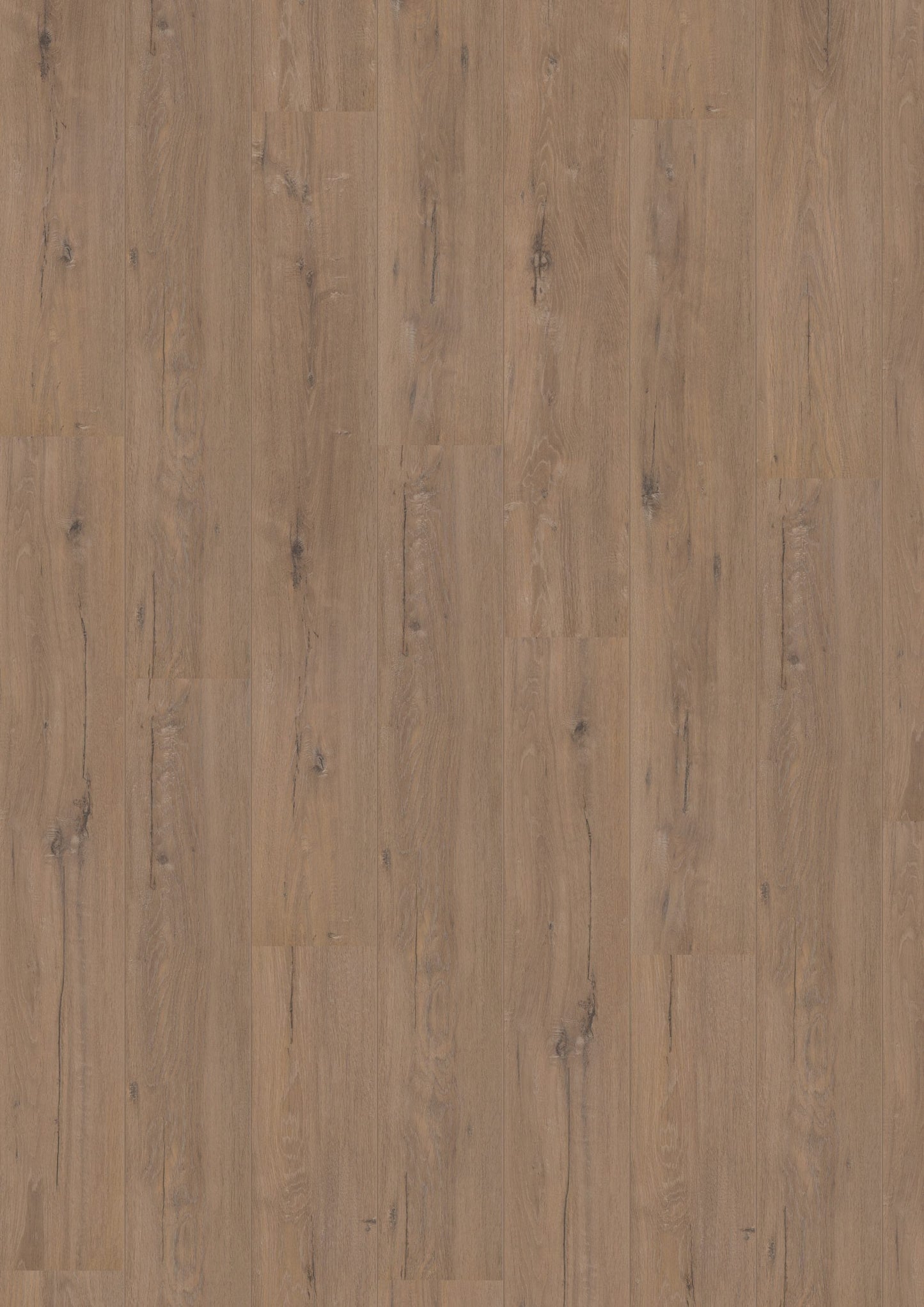 Hoomline - Laminaat - Royal V2 - Toscane Eik 902