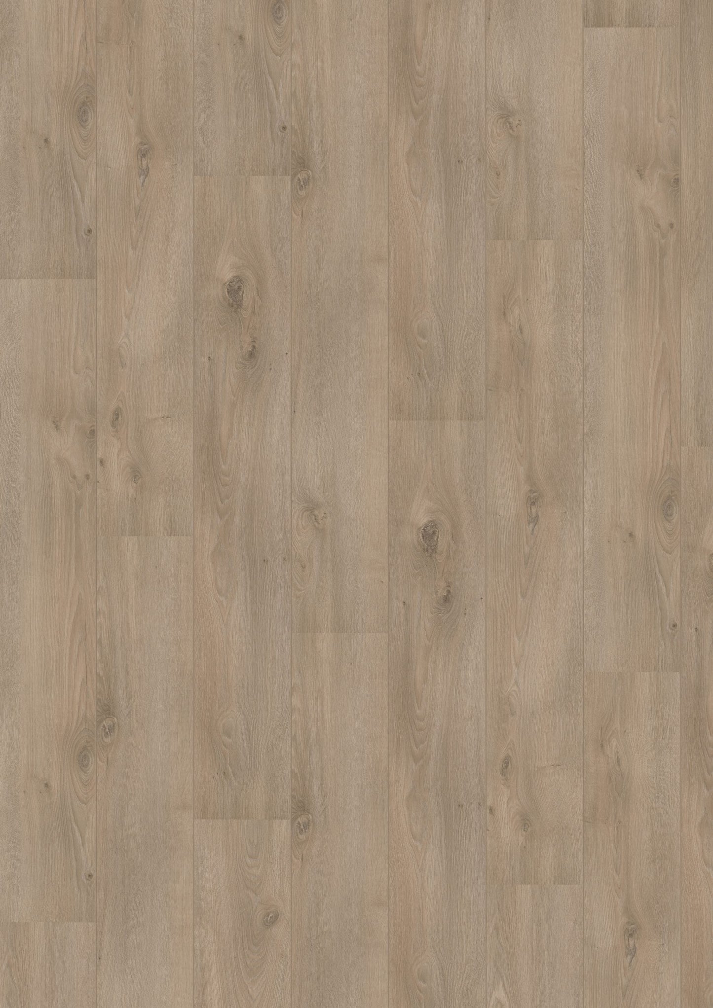 Hoomline - Laminaat - Royal V2 - Campania 106