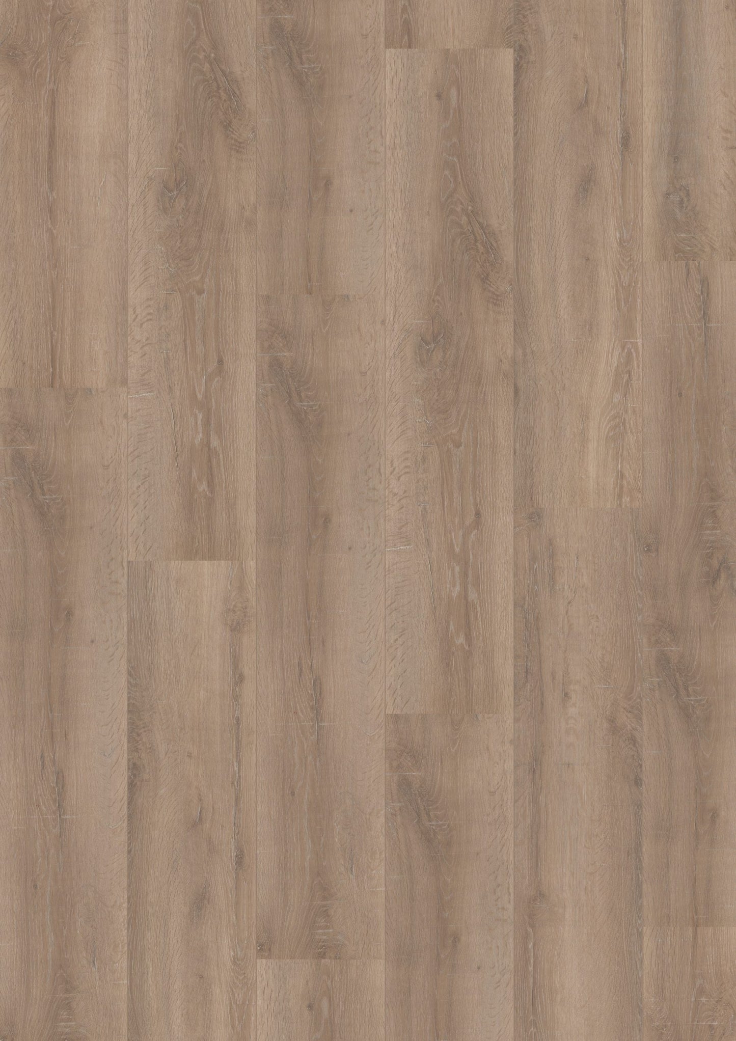 Hoomline - Laminaat - Royal XL V2 - Olympus 957