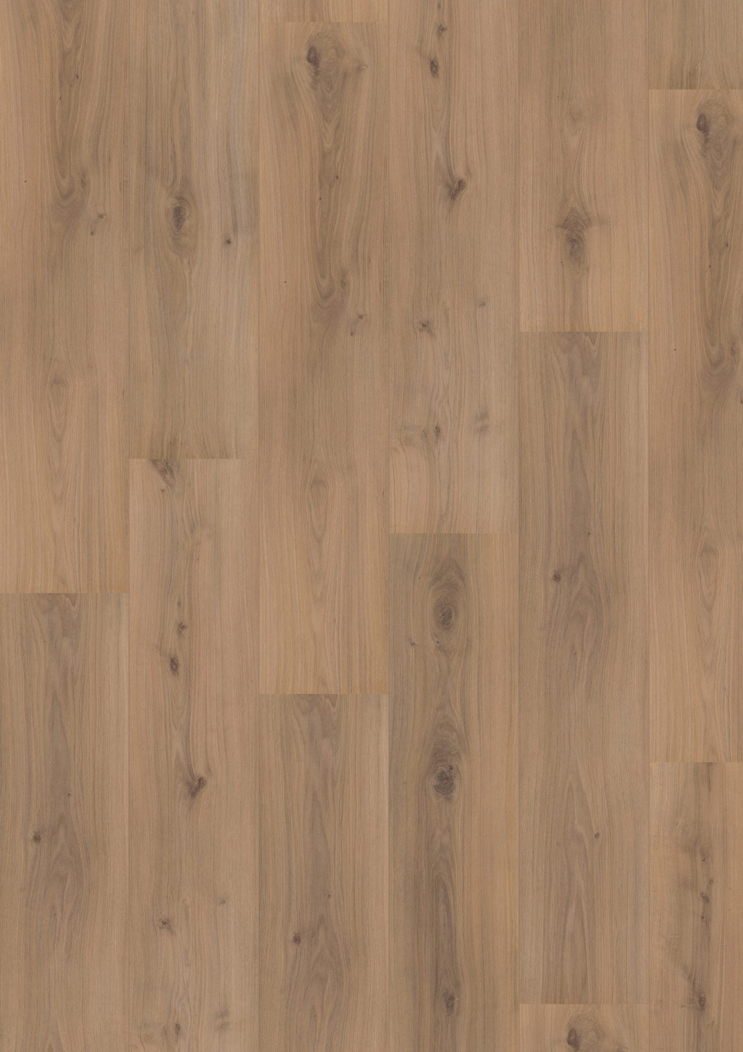 Hoomline - Laminaat - Royal XL V2 - Jungfrau 4936