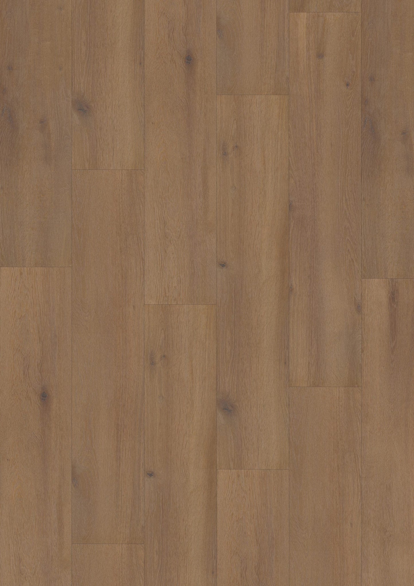 Hoomline - Laminaat - Elite XL V4 Aquaprotect - Waal 6079