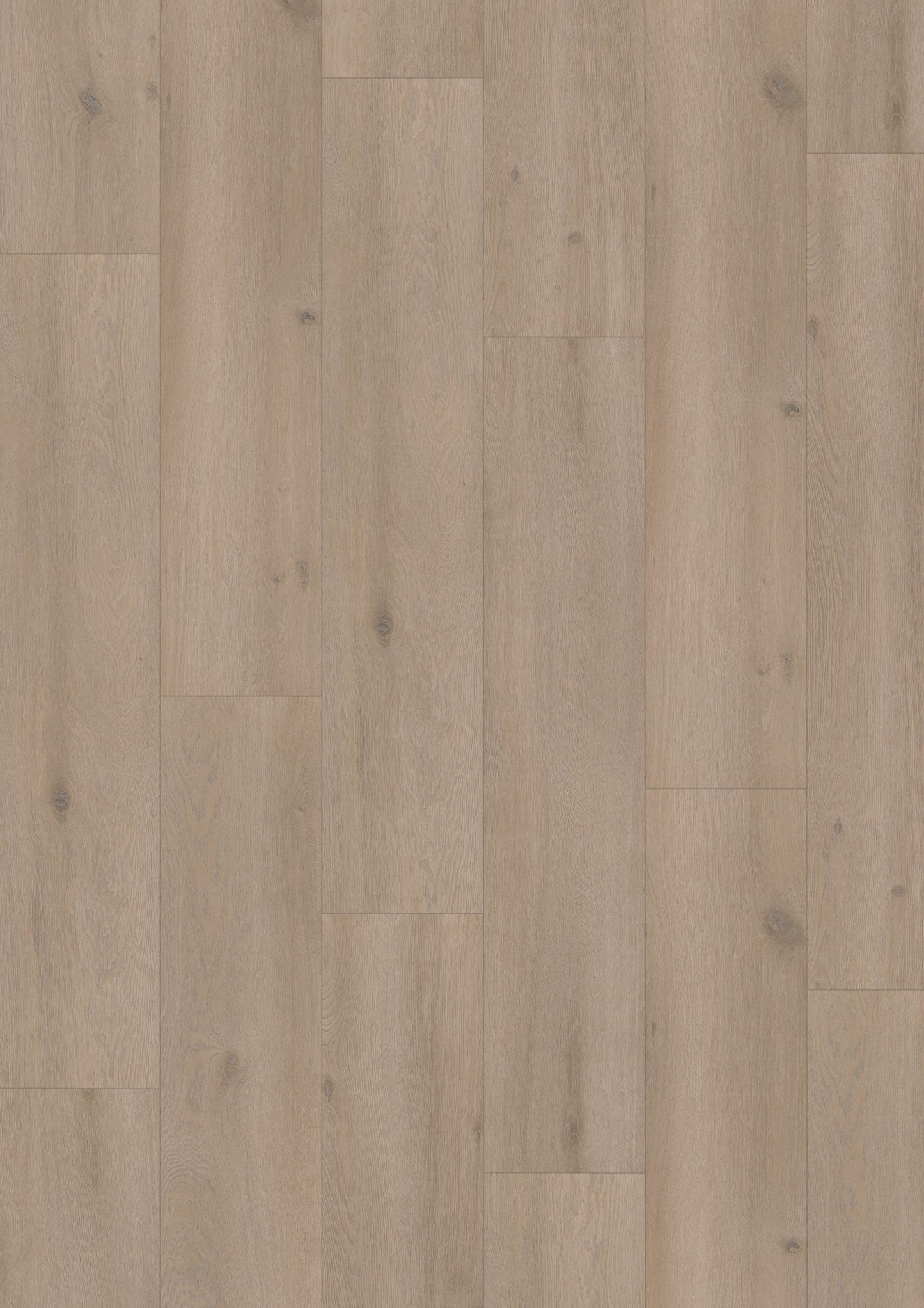 Hoomline - Laminaat - Elite XL V4 Aquaprotect - Geul 6082