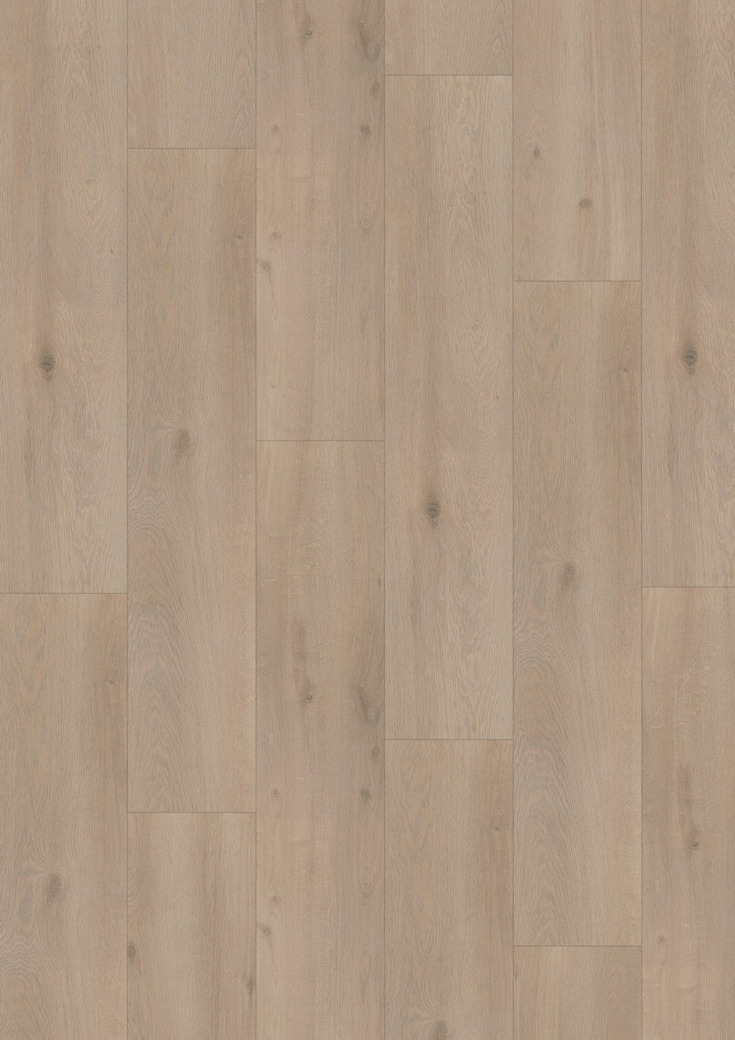 Hoomline - Laminaat - Elite XL V4 Aquaprotect - Amstel 6083