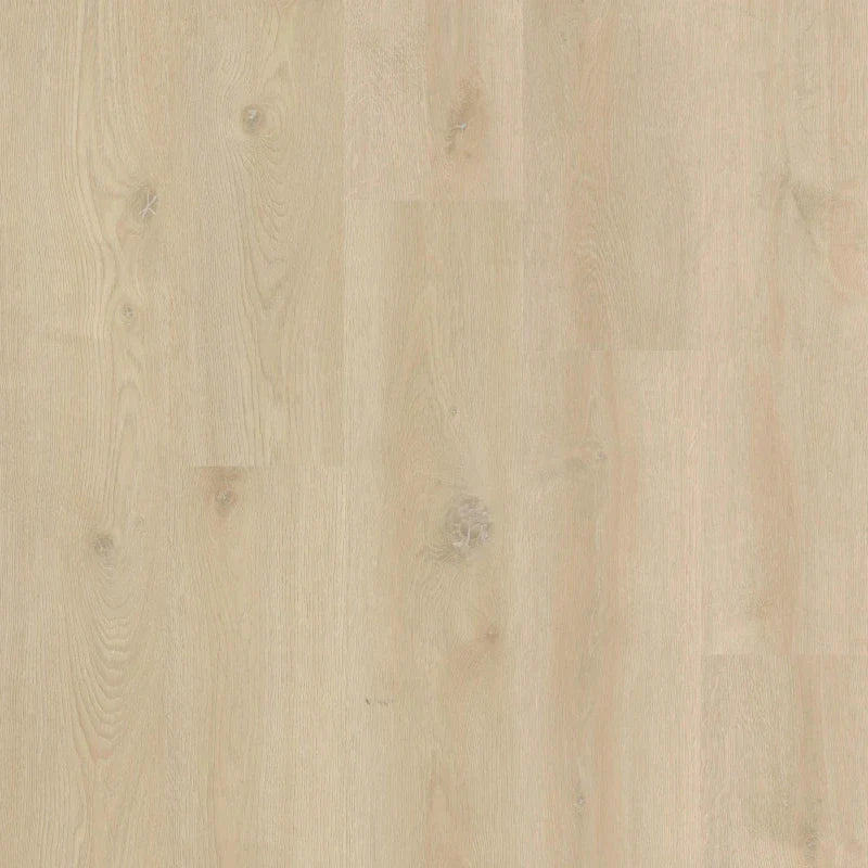 Therdex - Xstralong Serie - 18080 - Dryback