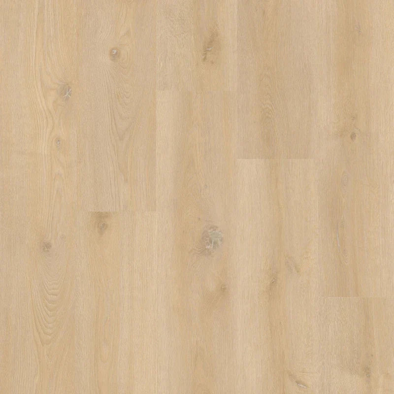 Therdex - Xstralong Serie - 18090 - Dryback