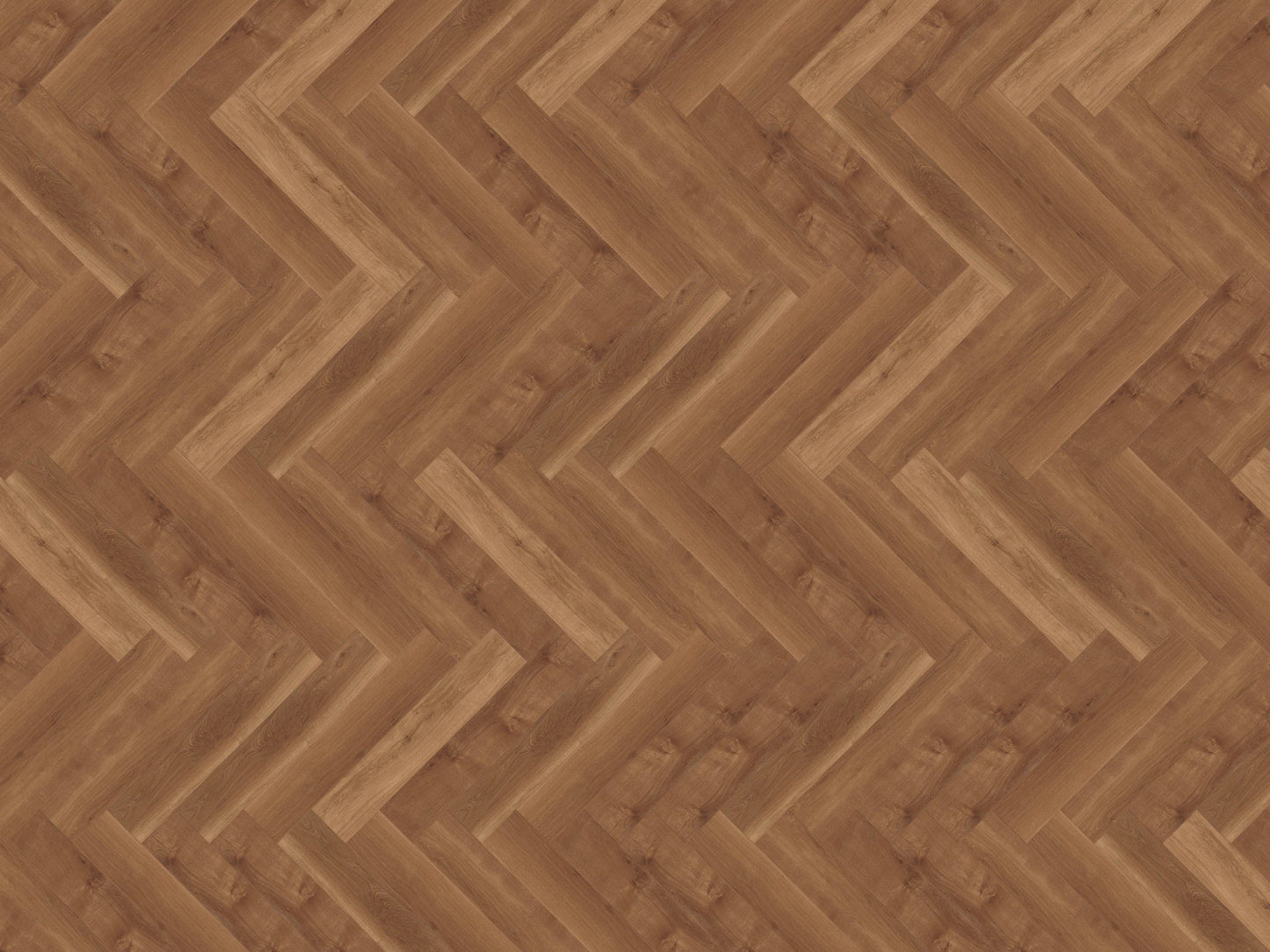 Mflor - Parva Broad Leaf - Dryback