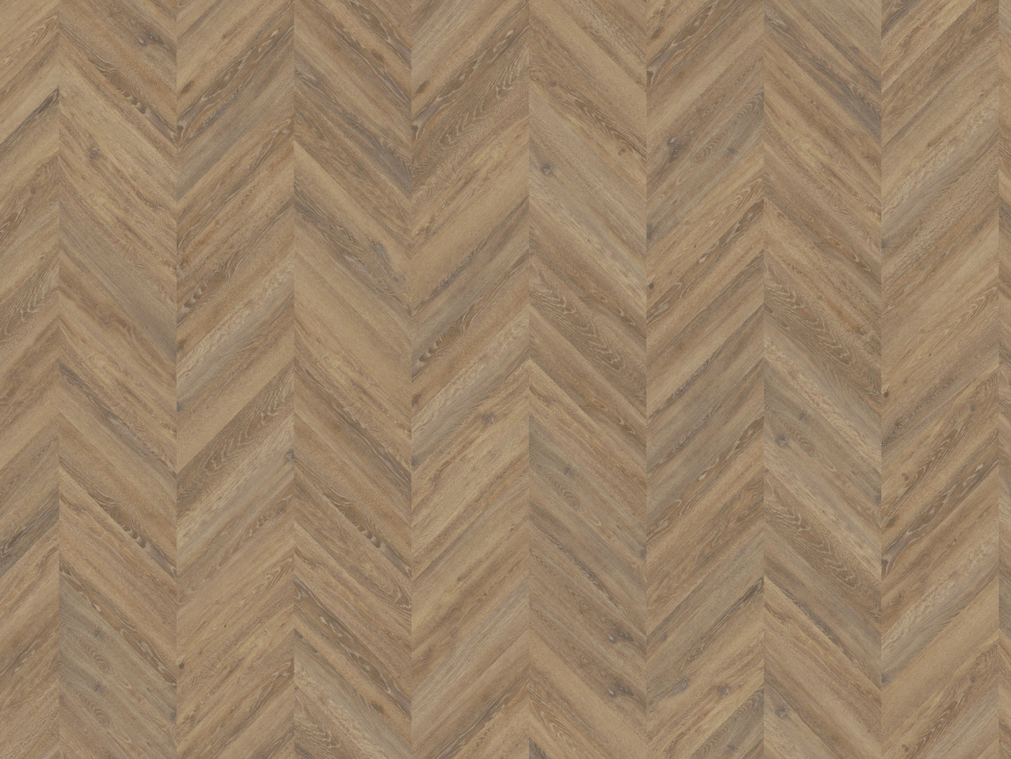 Mflor - Parva Oak Chevron - 42215 - Apulia - Dryback