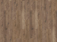 Mflor - Bramster Chestnut - 81607 - Alforf - Dryback