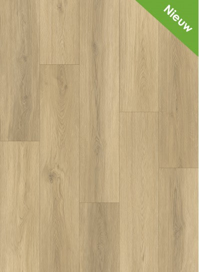 Gelasta - Artline Register - 2300 - Beige - Extra Mat - Dryback