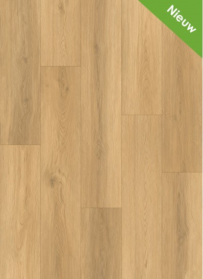 Gelasta - Artline Register - 2302 - Natural - Extra Mat - Dryback