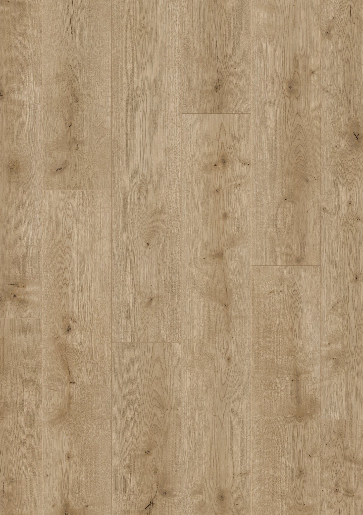 Hoomline - Laminaat - Optima V4 - Hobart 837