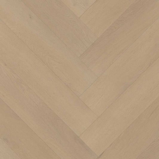 Belakos - 77 - Palazzo Visgraat XL - 2156 - Click