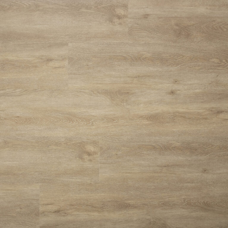 Sense - Serie PP - E55 - Dryback