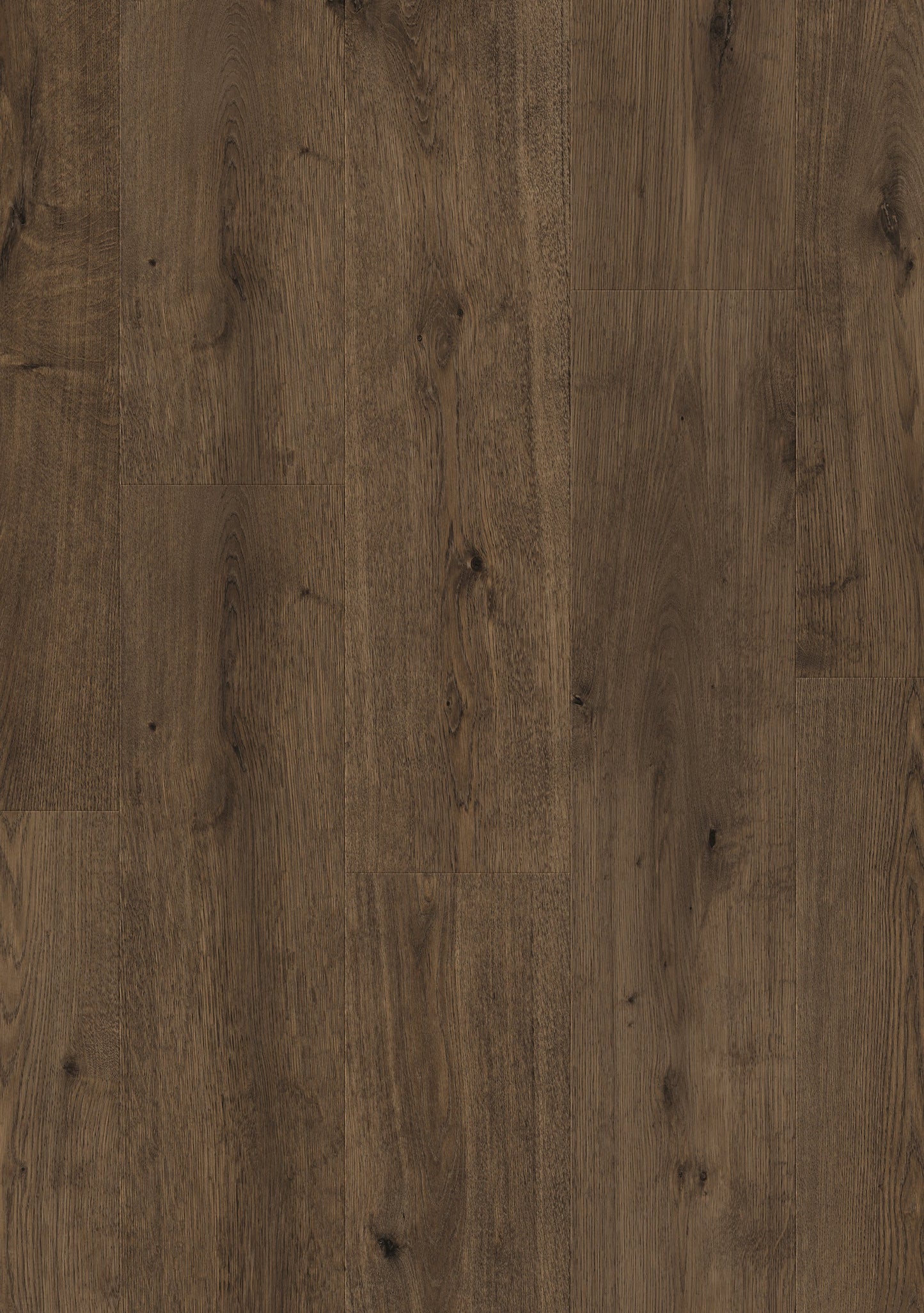 Hoomline - Laminaat - Elite XL V4 Aquaprotect - Linge 6385