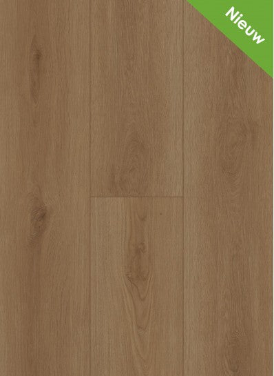 Gelasta - Firmfit - Summerfield Naturel - 6700 - Dryback