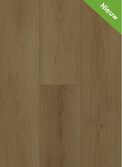 Gelasta - Firmfit - Summerfield Cinnamon - 6702- Dryback