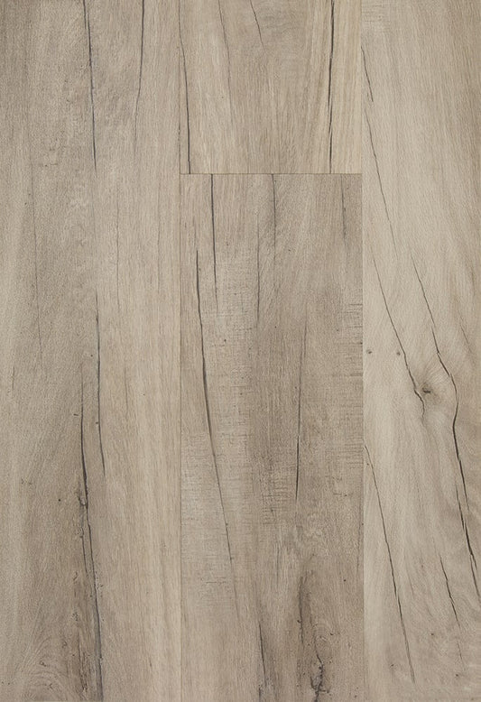 TFD on the Floor - Futura 39-1 - Dryback (uitlopend)