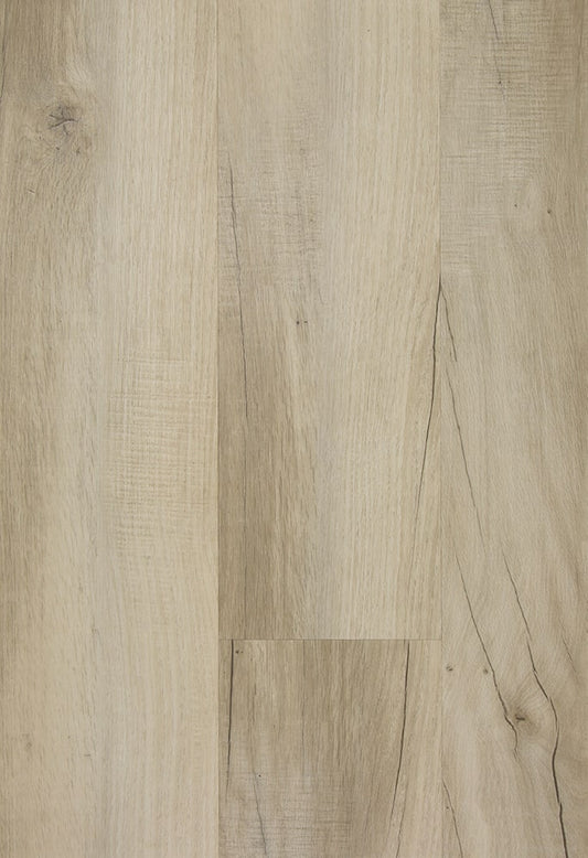 TFD on the Floor - Futura 39-12 - Dryback (uitlopend)