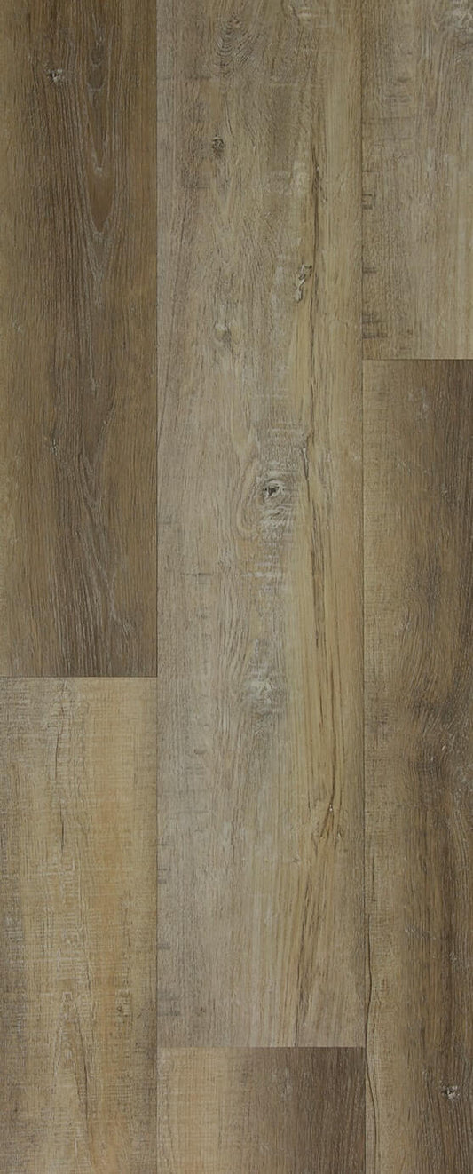 TFD on the Floor - Heritage C 2 - Dryback (uitlopend)