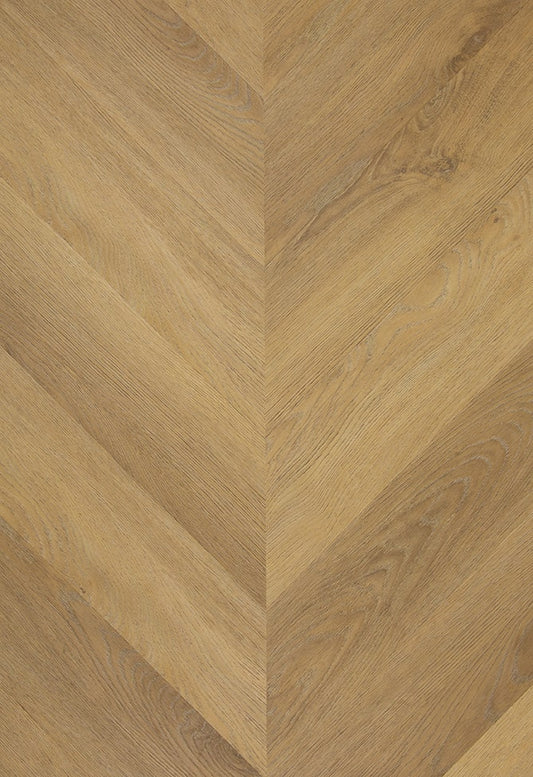 TFD on the Floor - Hungarian Point 1618 - Hongaarse Punt - Dryback