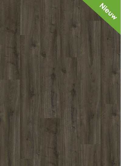 Gelasta - Oakland - 6106 - Soil - Dryback