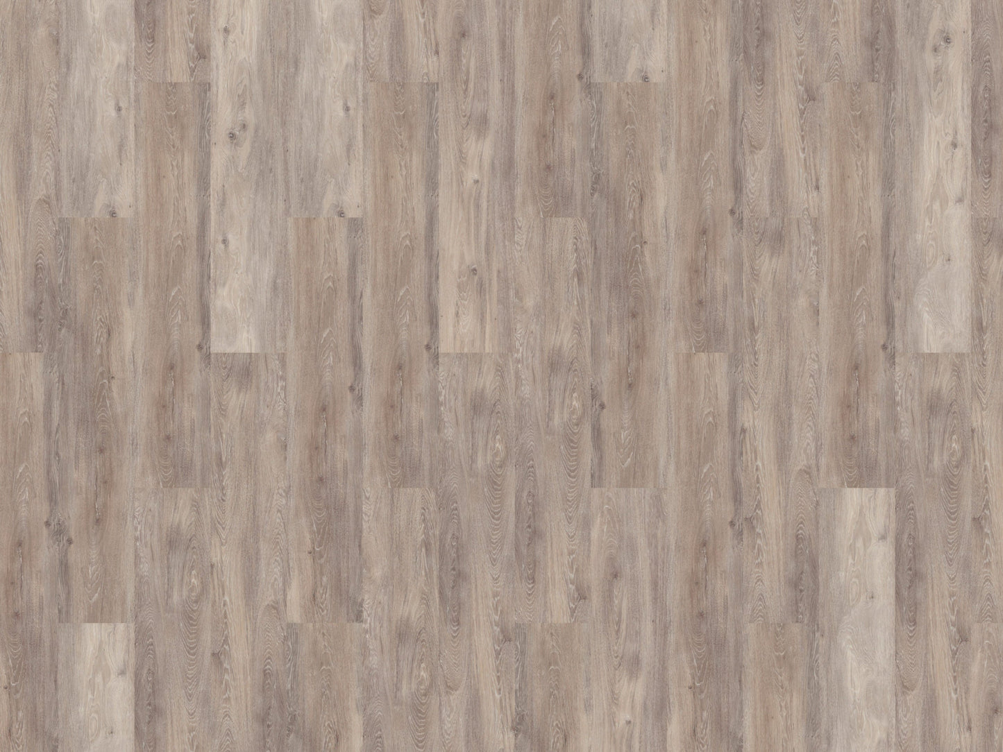 Mflor - Reservoir Oak - 72138 - Broad Fen - Dryback