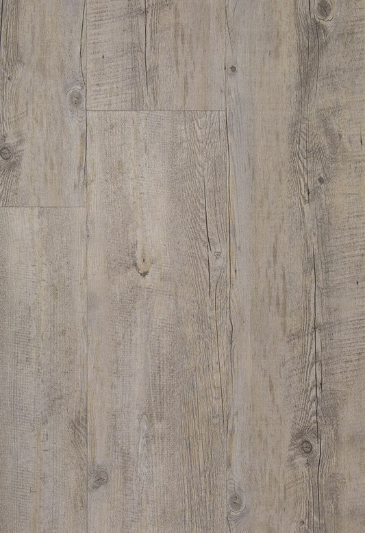 TFD on the Floor - Style Pro 7 - Dryback