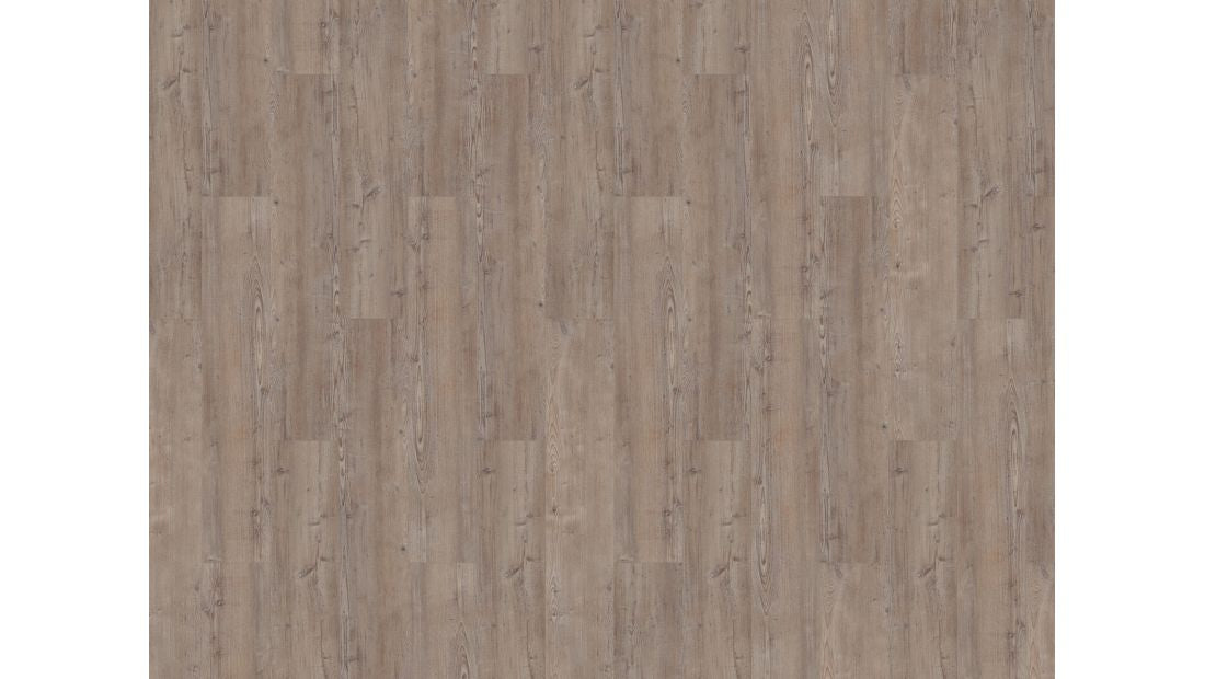 Mflor - Argyll Fir - 75110 - Greyfriars - Dryback