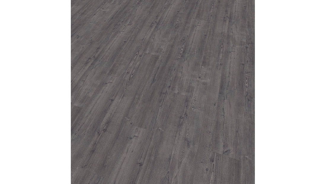 Mflor - Argyll Fir - 75115 - Montrose - Dryback