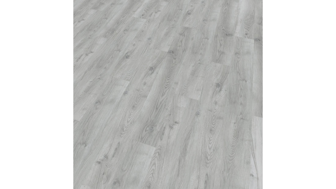 Mflor - Bramster Chestnut - 81603 - Pippuria - Dryback