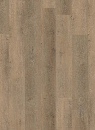 Gelasta - Country - 4303 - Prestige Oak Sand - Dryback