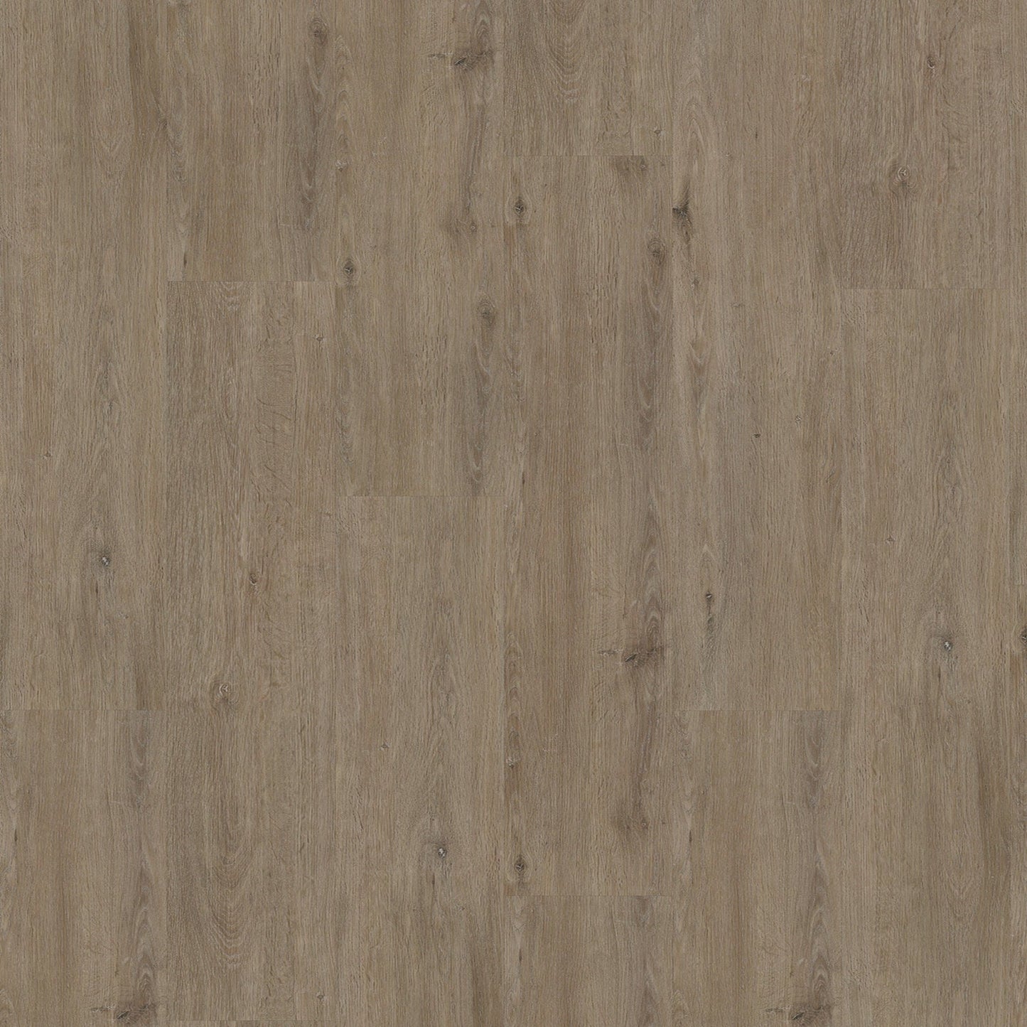 Vivafloors - 6500 Serie - Dryback