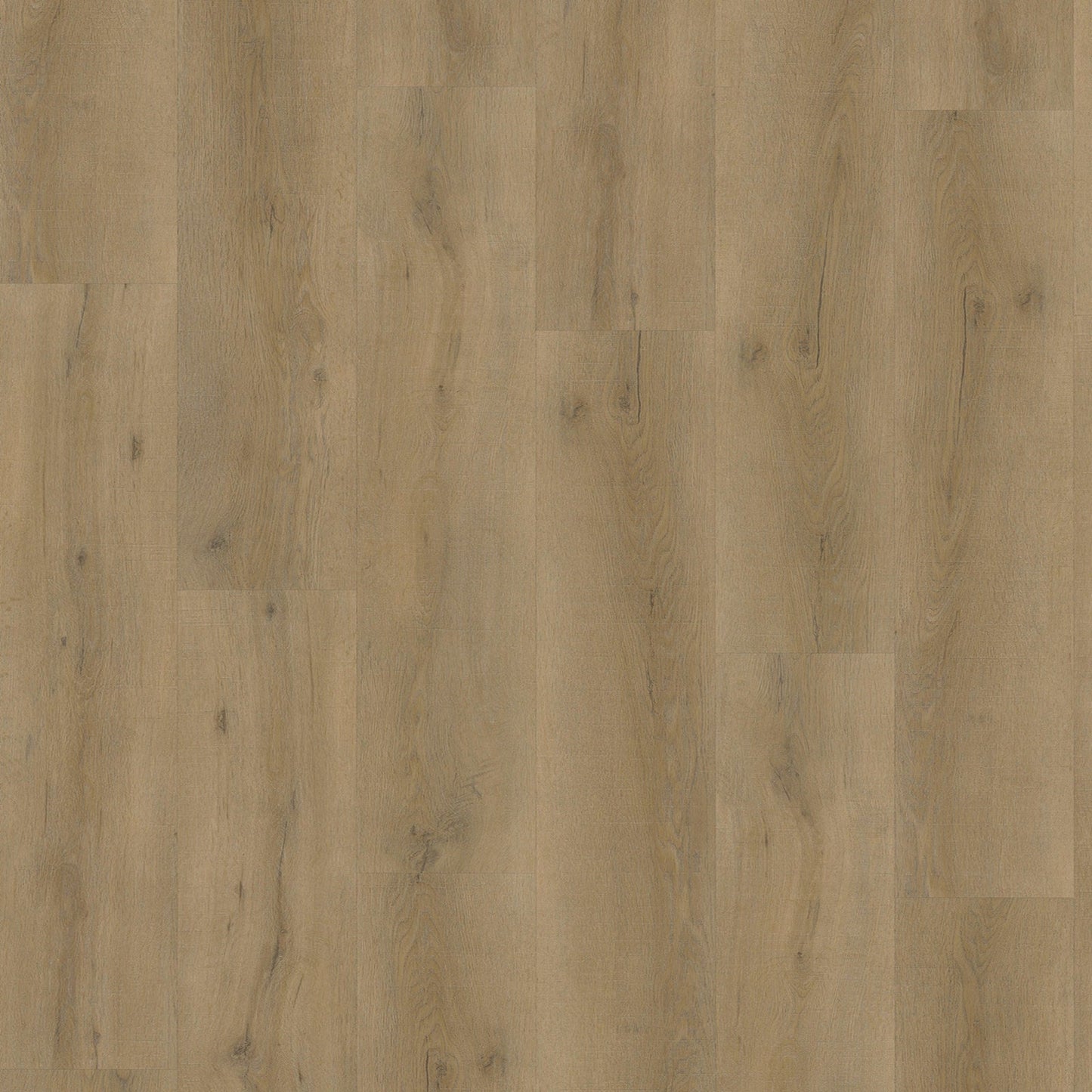 Vivafloors - 6800 Serie - Dryback