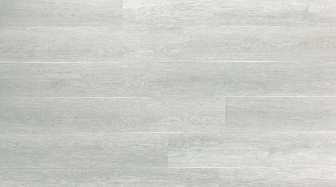 Lamett - Ivalo - 2697 - Cane - Click