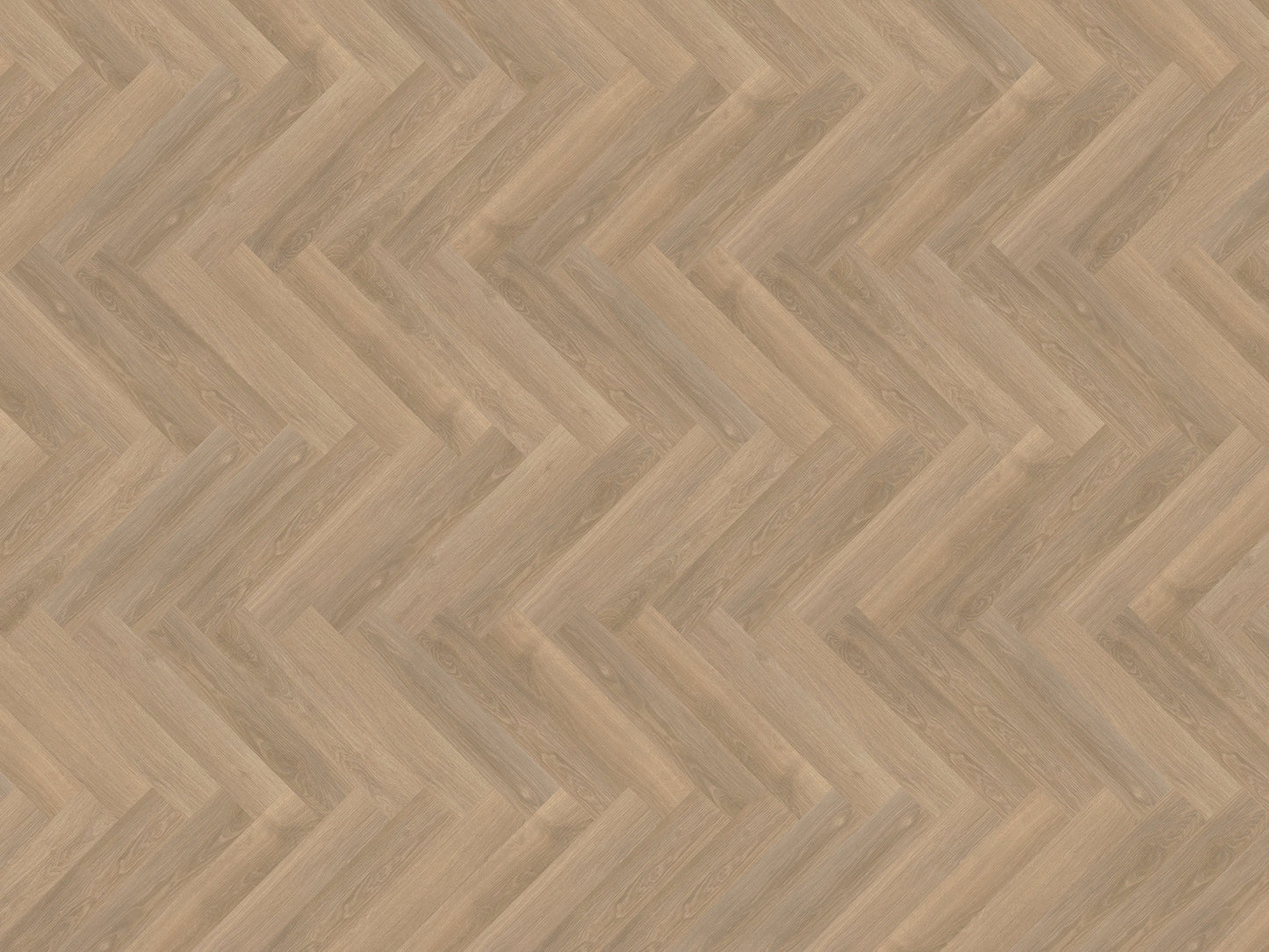 Mflor - Parva River Oak - 41319 - Rhone - Dryback