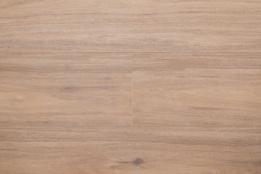 Therdex - Regular Serie - 3020 - Dryback