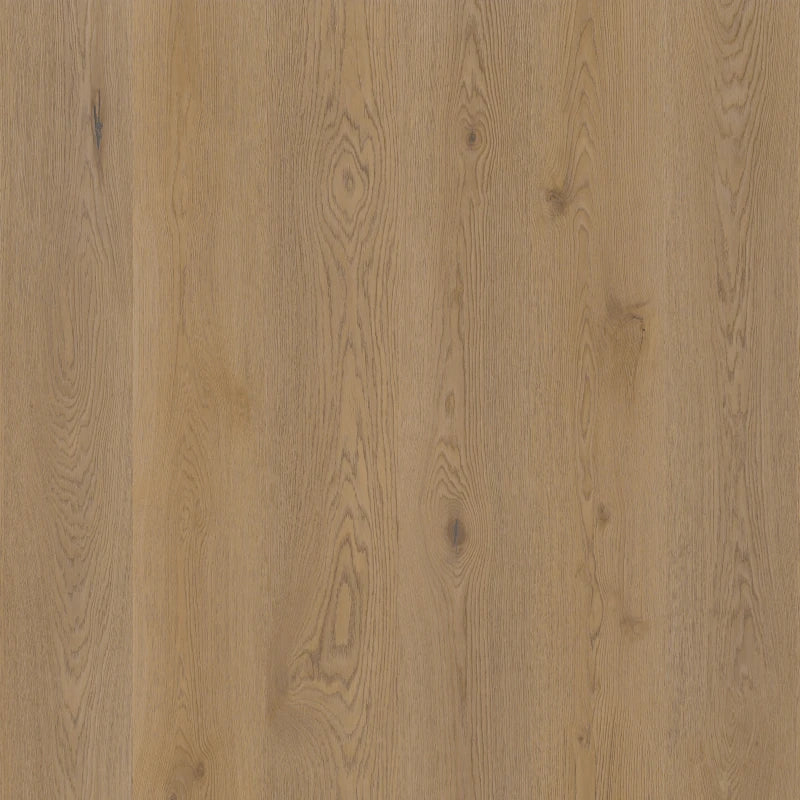 Therdex - Authentic Serie - 15063 - Dryback