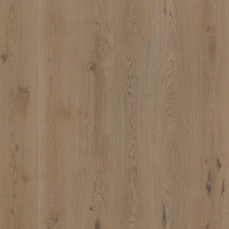 Therdex - Authentic Serie - 15064 - Dryback