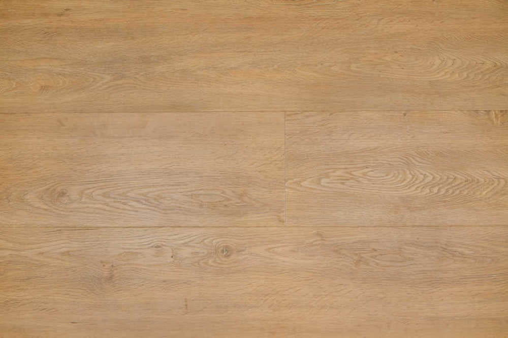 Therdex - Regular Serie - 2540 - Dryback