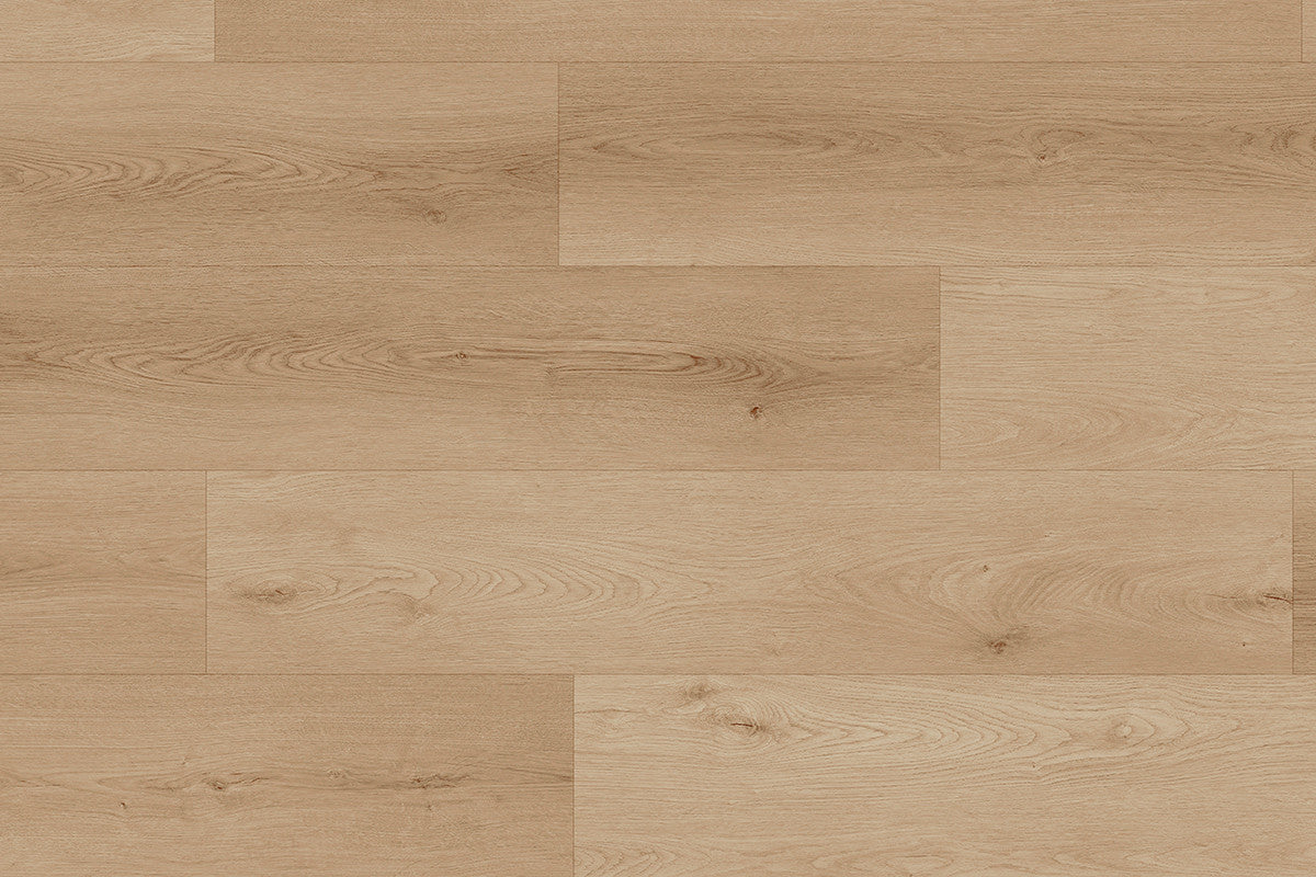 Lamett - Tigris - 5761 - Lion - Dryback