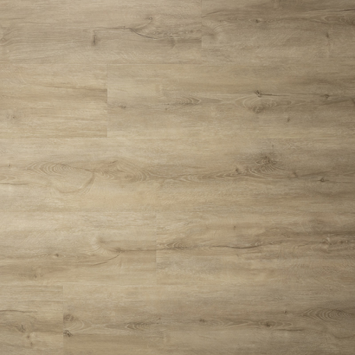 Sense - Serie H - 600 - Click
